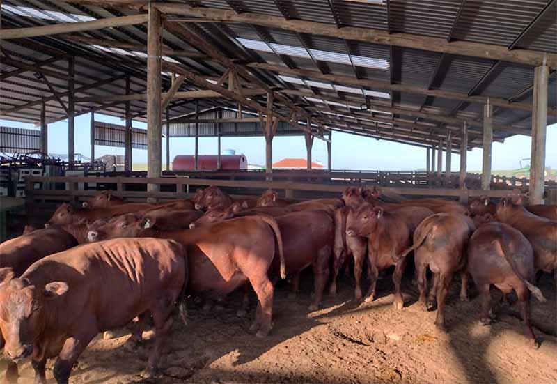 Infraestrutura | Projeto Integral Para a Propriedade Rural